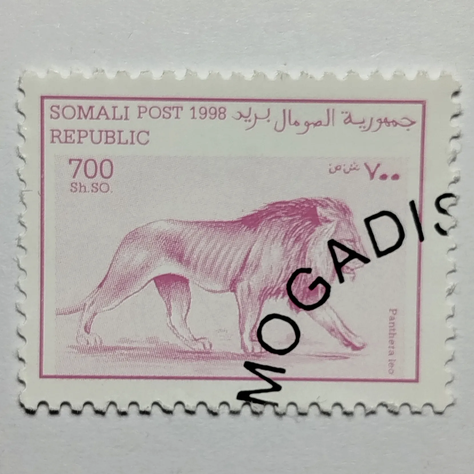 تمبر سومالی ۷۰۰ شیلینگ سومالی طرح حیات وحش شیر